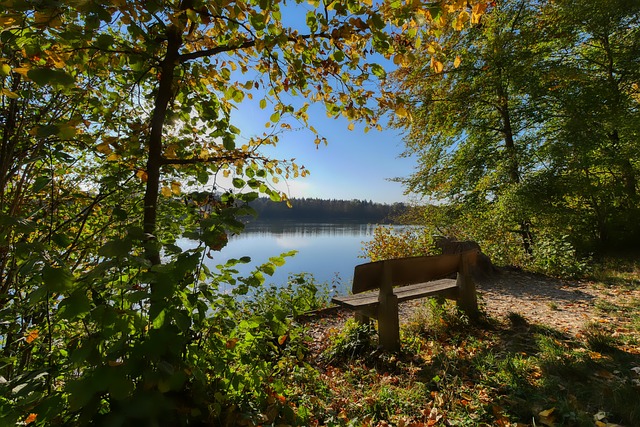 一些支持以 一些支持以