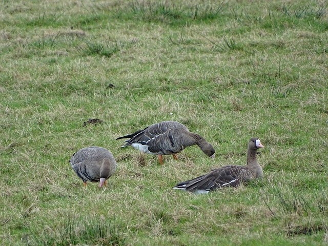 忠南牙山的 忠南牙山的
